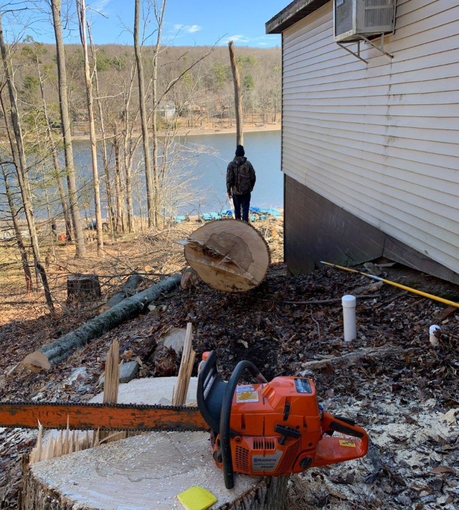 A chainsaw is cutting a tree stump in front of a house.