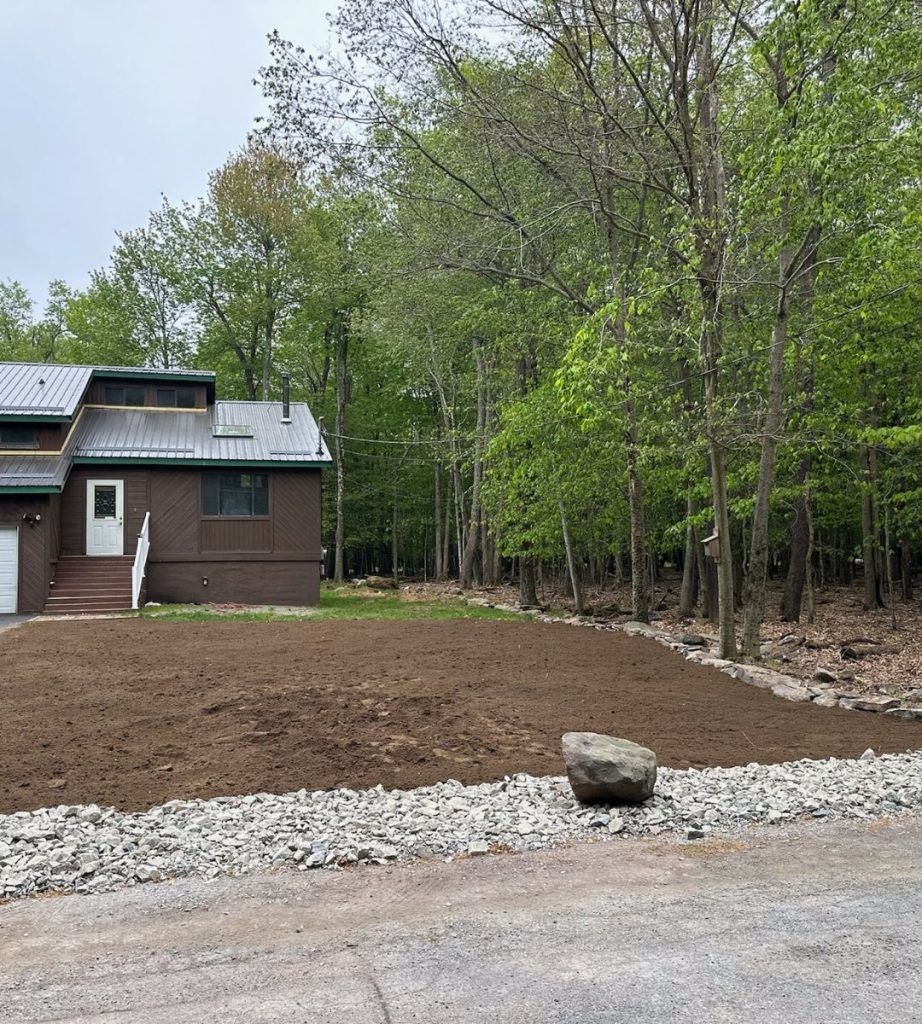 A house is sitting in the middle of a lush green forest.