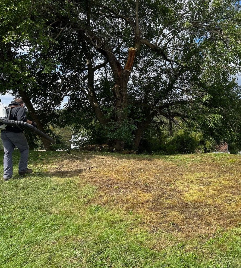 A man is using a lawn mower to cut the grass in a park.