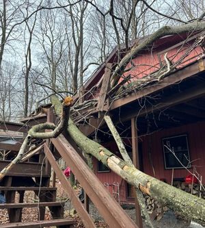 A tree has fallen on the deck of a house.