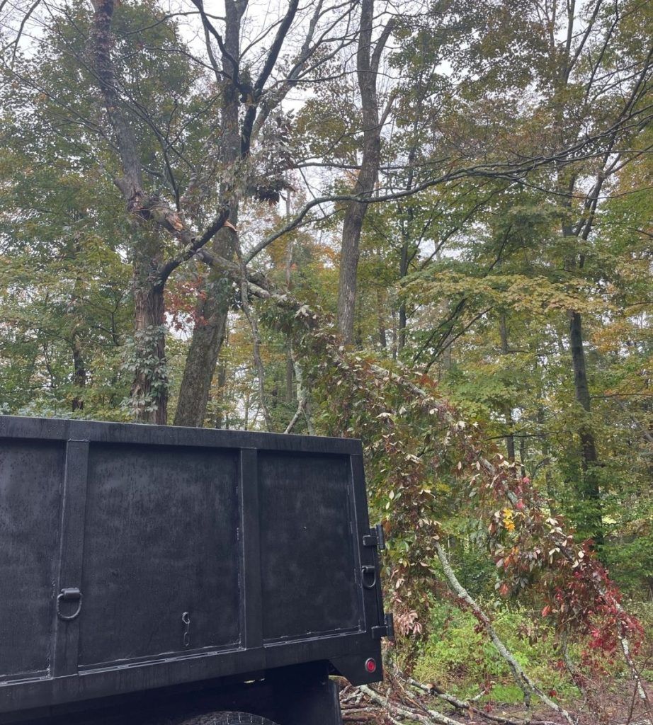 A dump truck is parked in the middle of a forest.