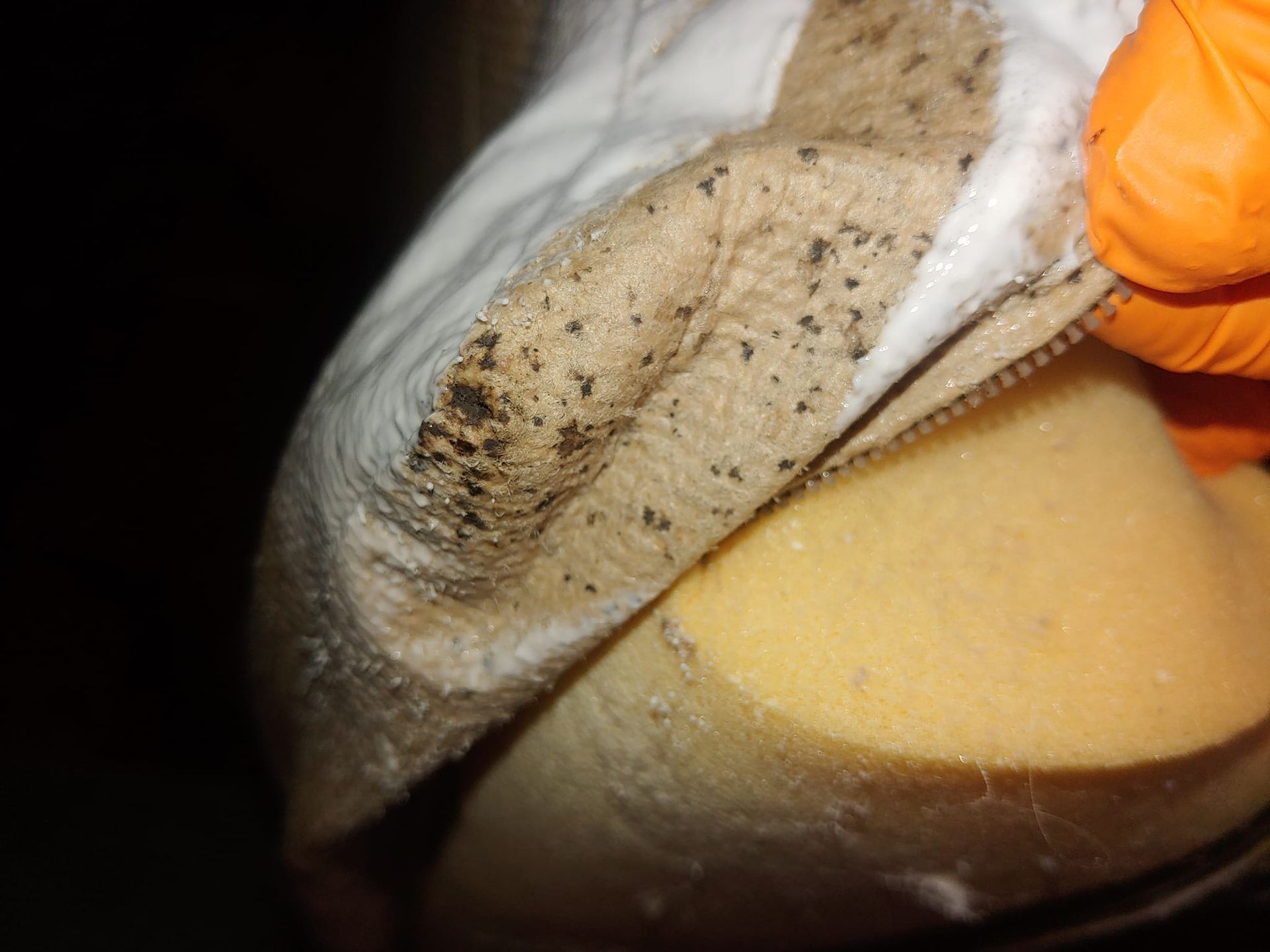 A person wearing orange gloves is holding a piece of cloth over a sponge.
