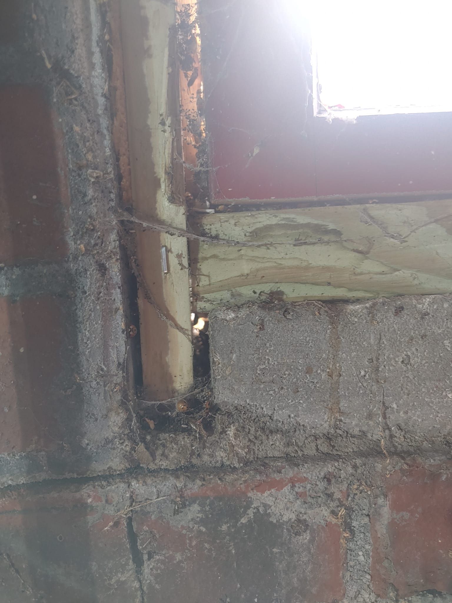 A brick wall with a hole in it and a window.