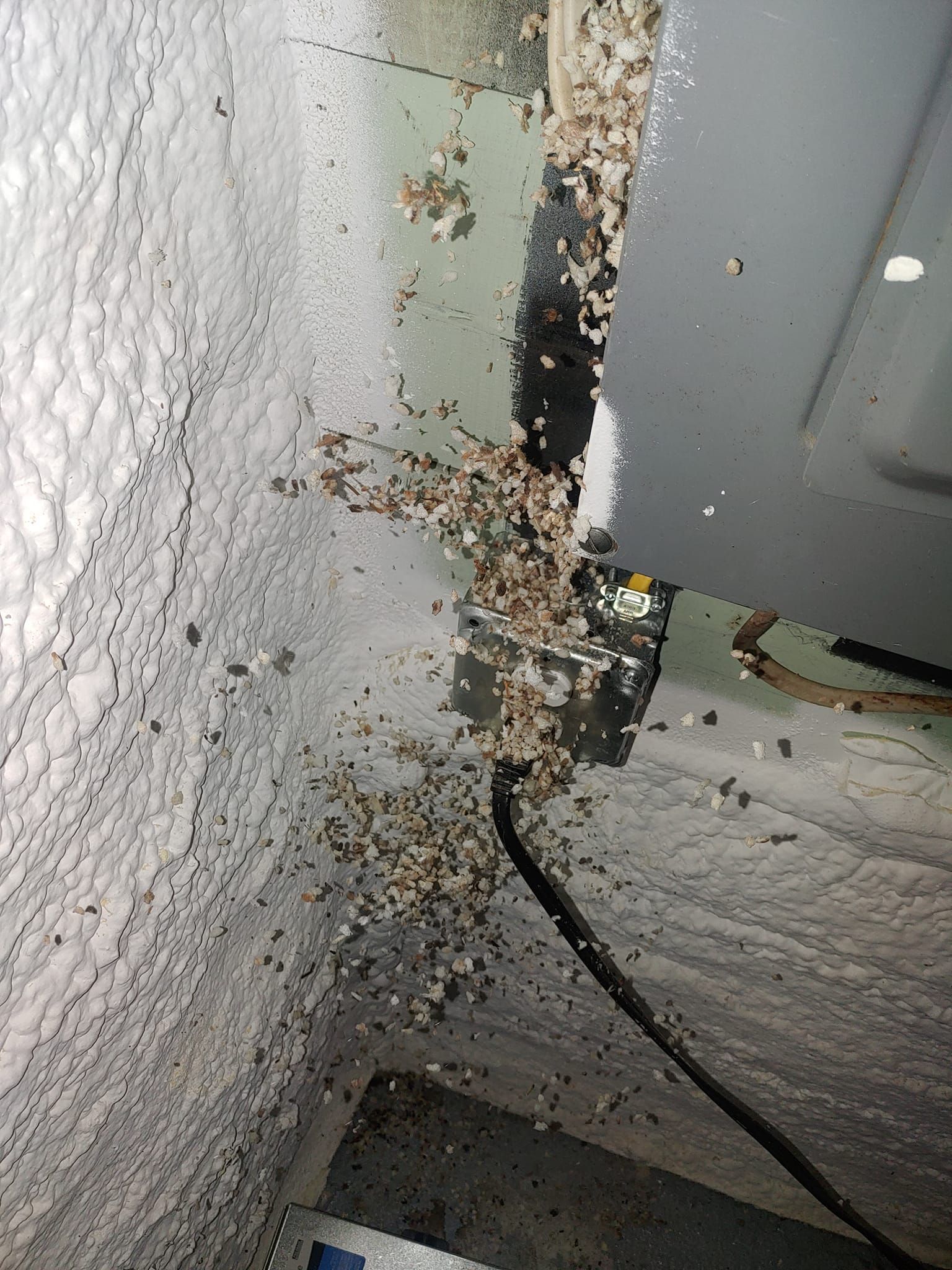 A bunch of bugs are crawling on a wall next to a electrical box.