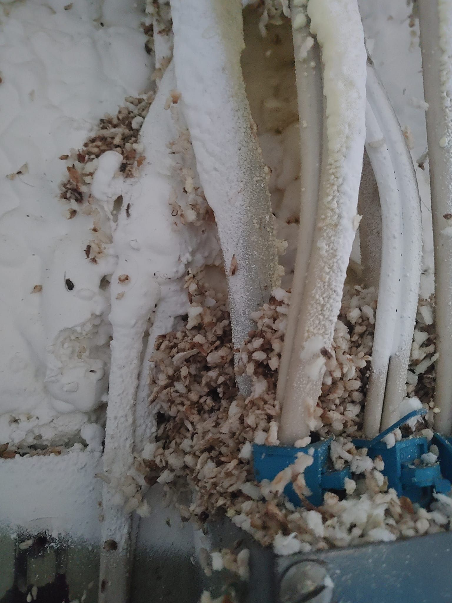 A close up of a bunch of wires covered in foam