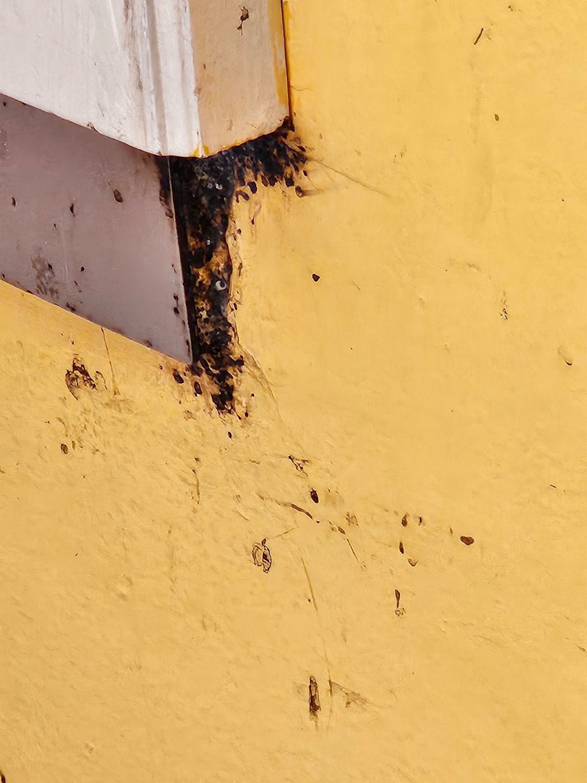 A close up of a yellow wall with a white door