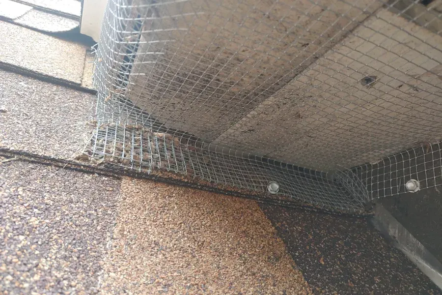 A bird is sitting in a wire cage on the side of a building.