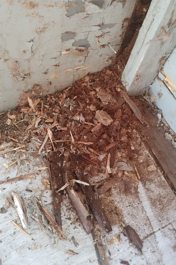 A pile of wood chips on the floor next to a door.