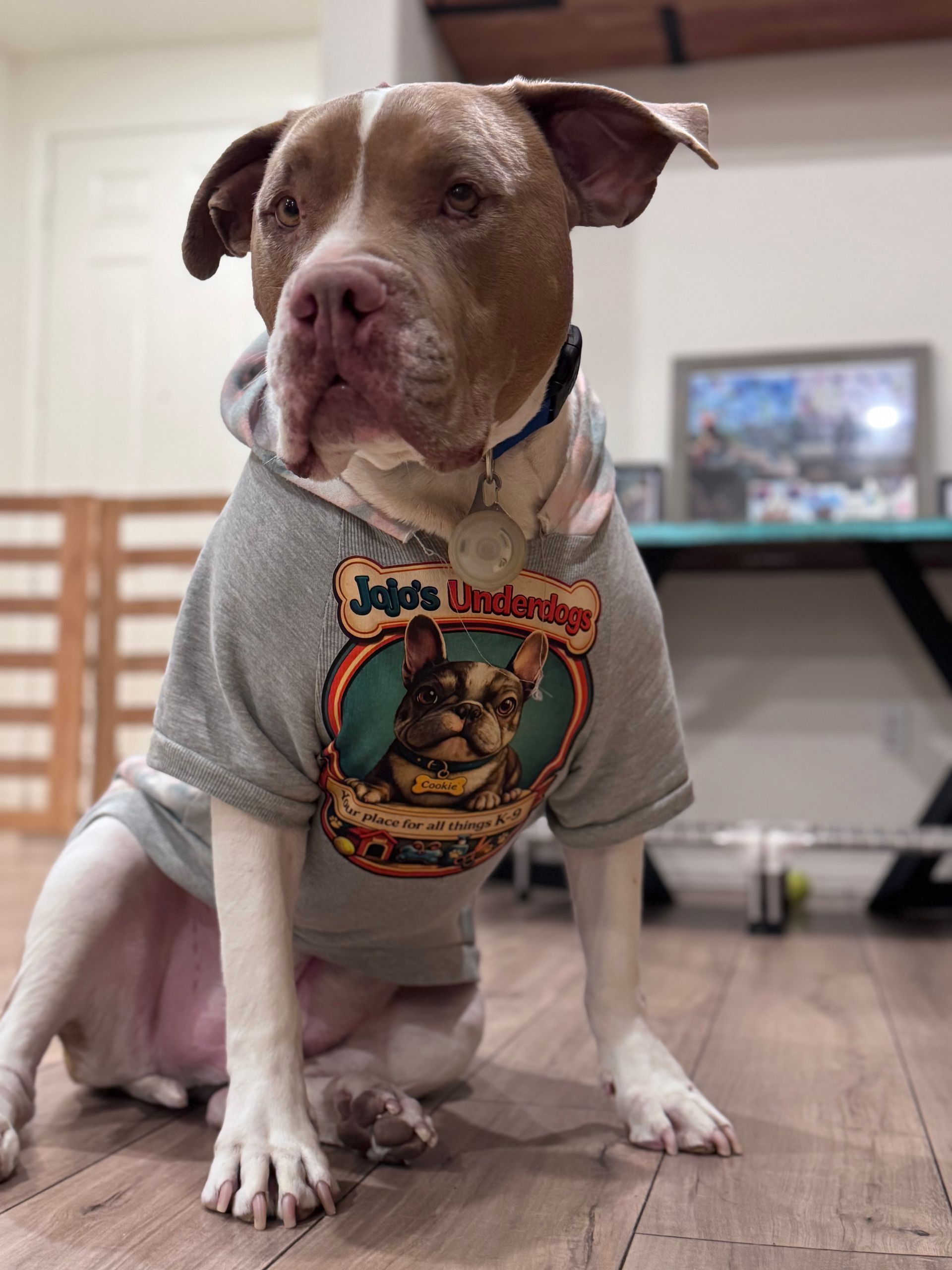 T-shirts for pups