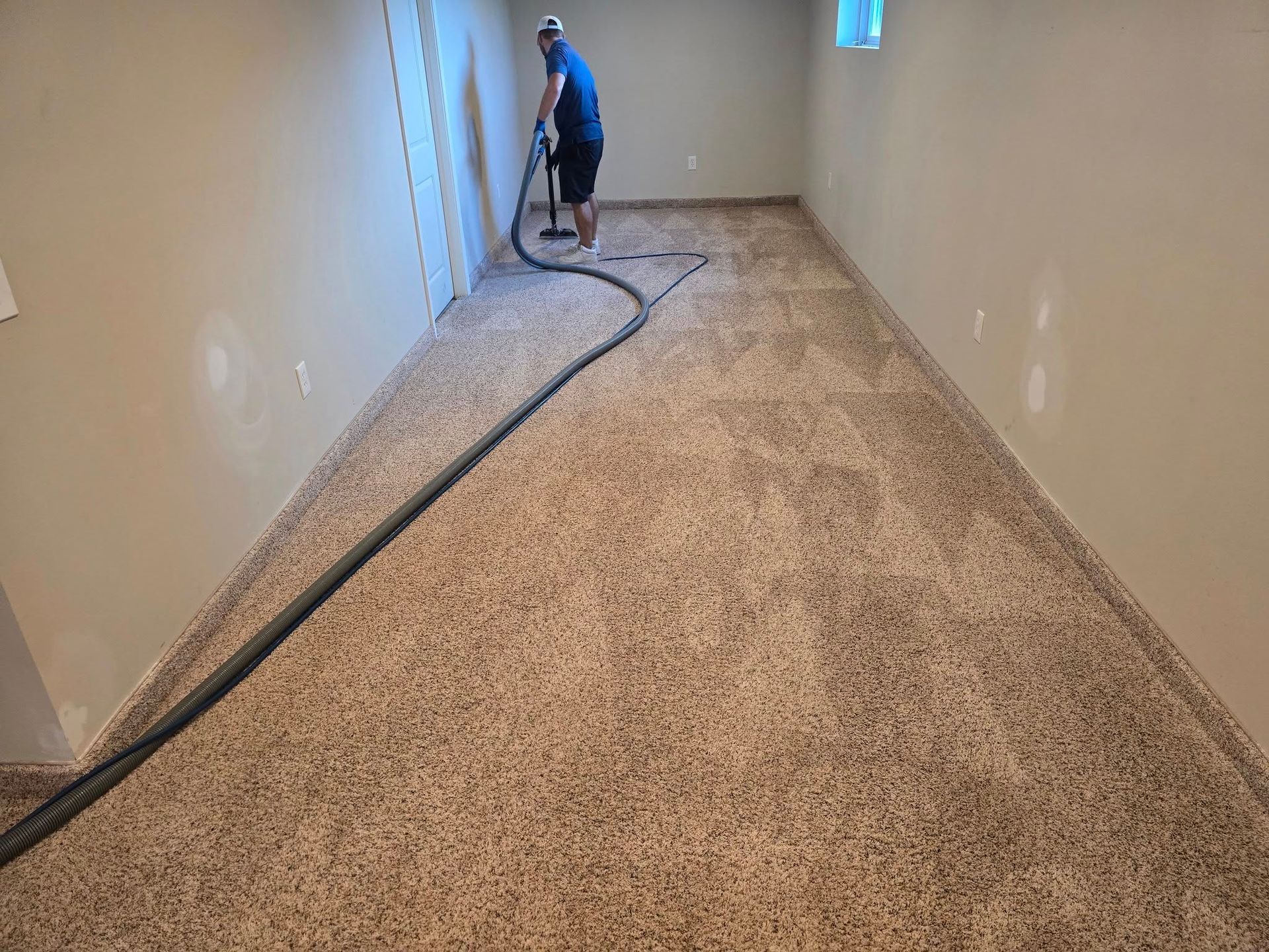 Pet Odor Removal Plymouth