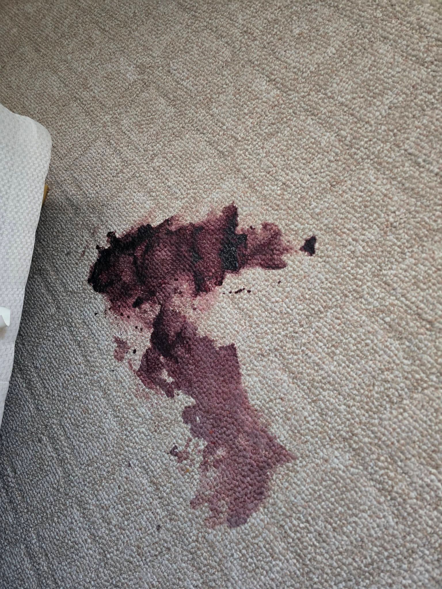 Carpet Cleaning in Plymouth
