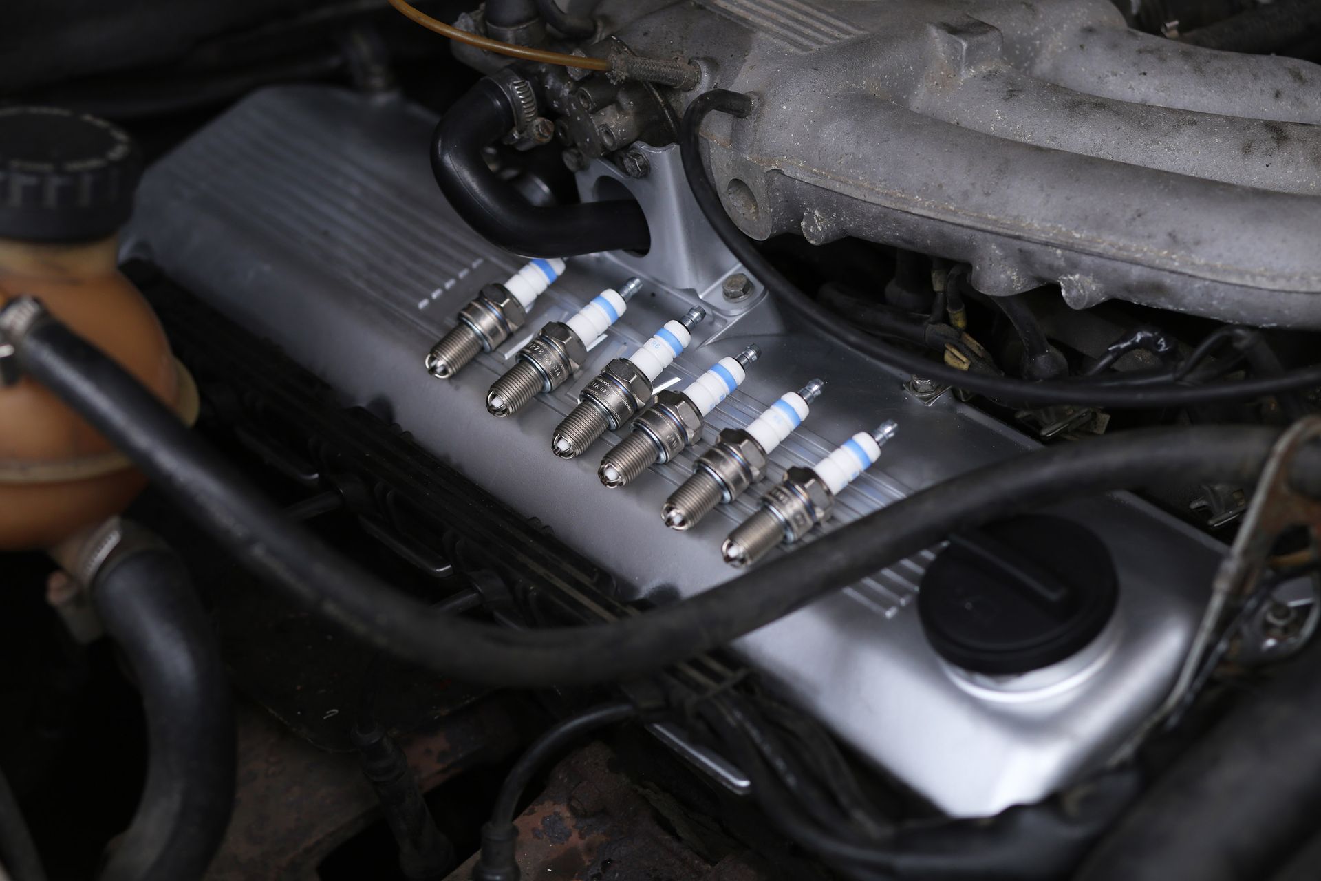 Six spark plugs resting on a car engine valve cover.