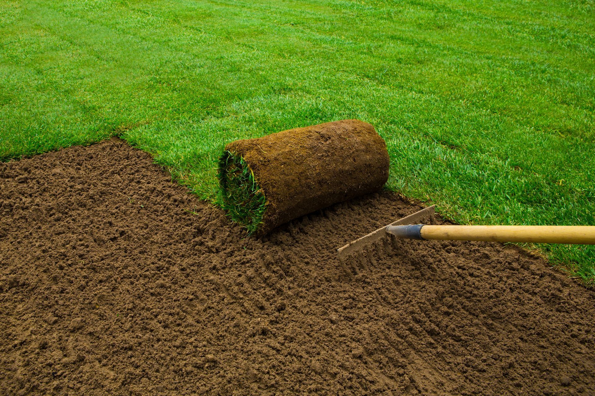 A person is rolling out a roll of sod on a lush green lawn.