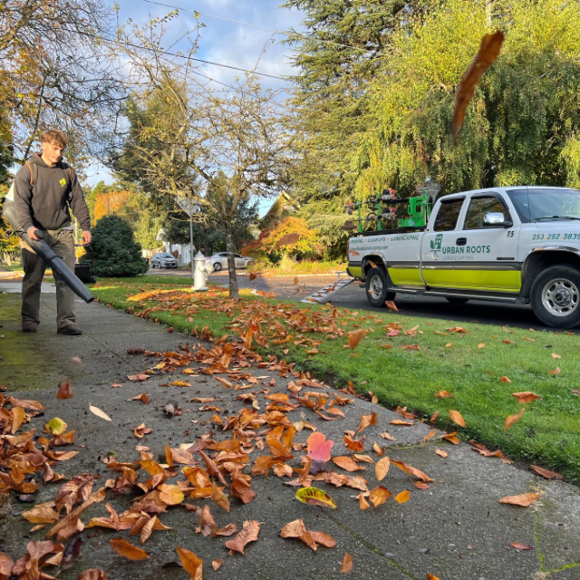 A man blowing leaves on a sidewalk in front of a truck that has the number 10 on it