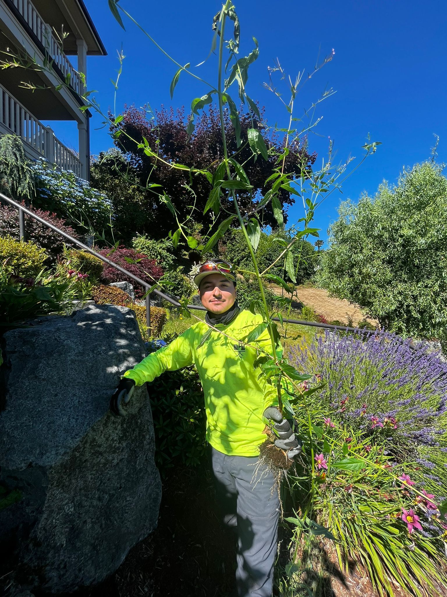 A man is standing next to a large rock in a garden.