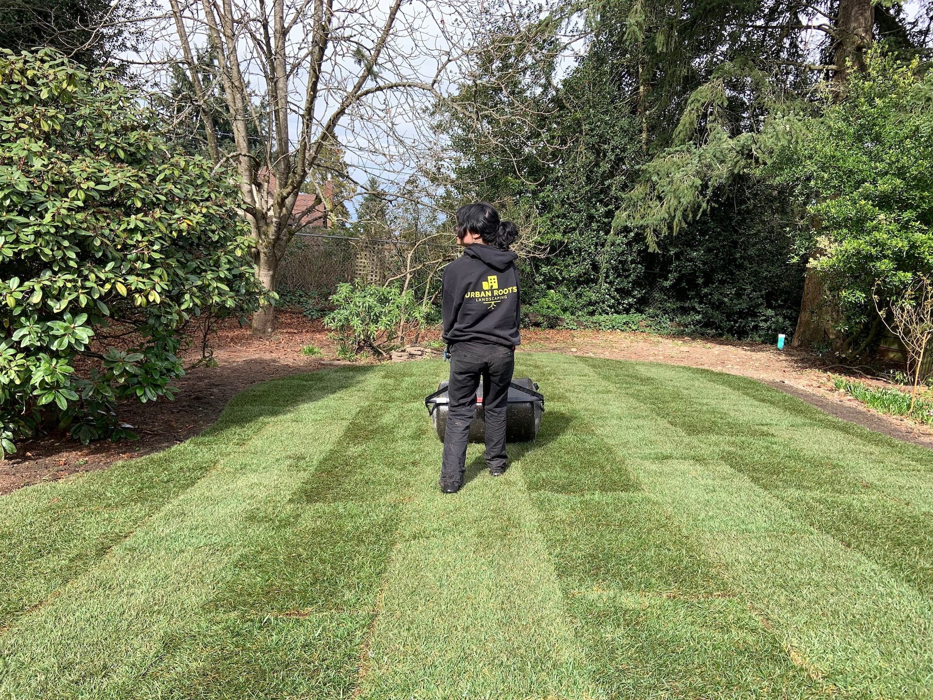 Sod Installation