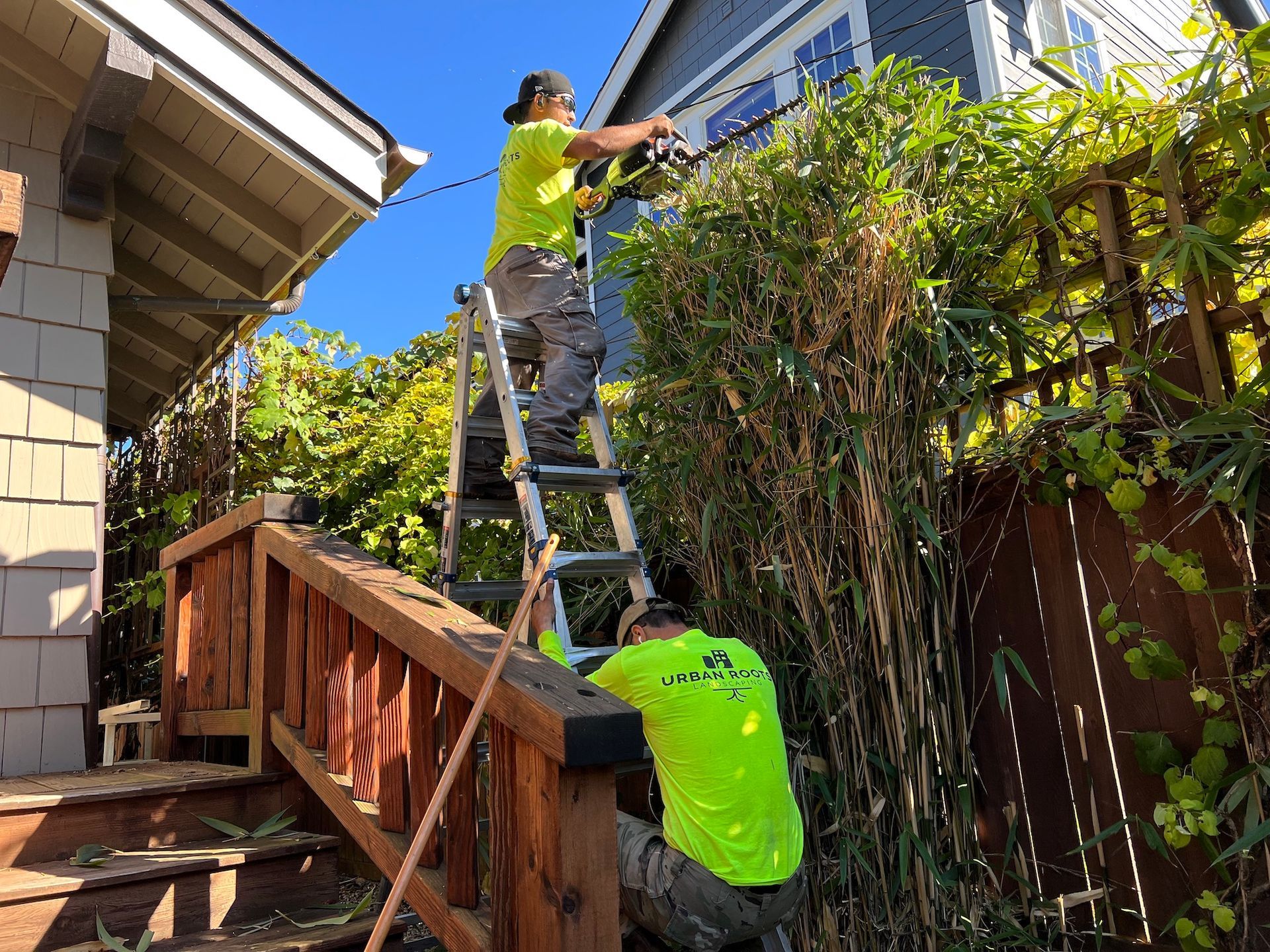 Landscape Maintenance