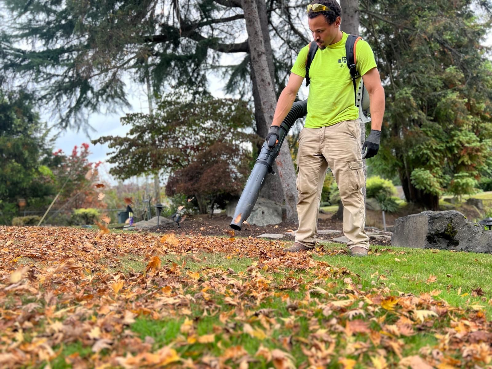 A man is blowing leaves in a park with a leaf blower.
