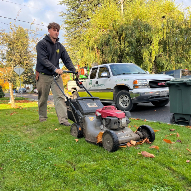 A man is mowing the grass with a honda lawn mower
