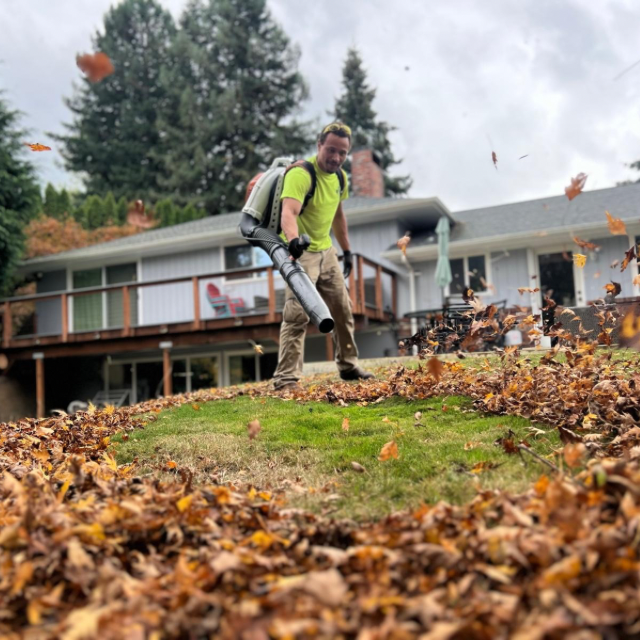 A man is blowing leaves in front of a house