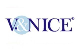 Logo V&nice