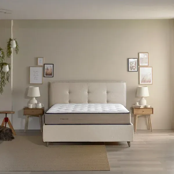 assemblaggio meccanico ed elettrico