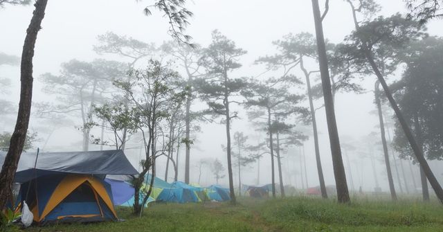 7 Quick & Easy Ways to Boil Water Camping — What's Danny Doing?