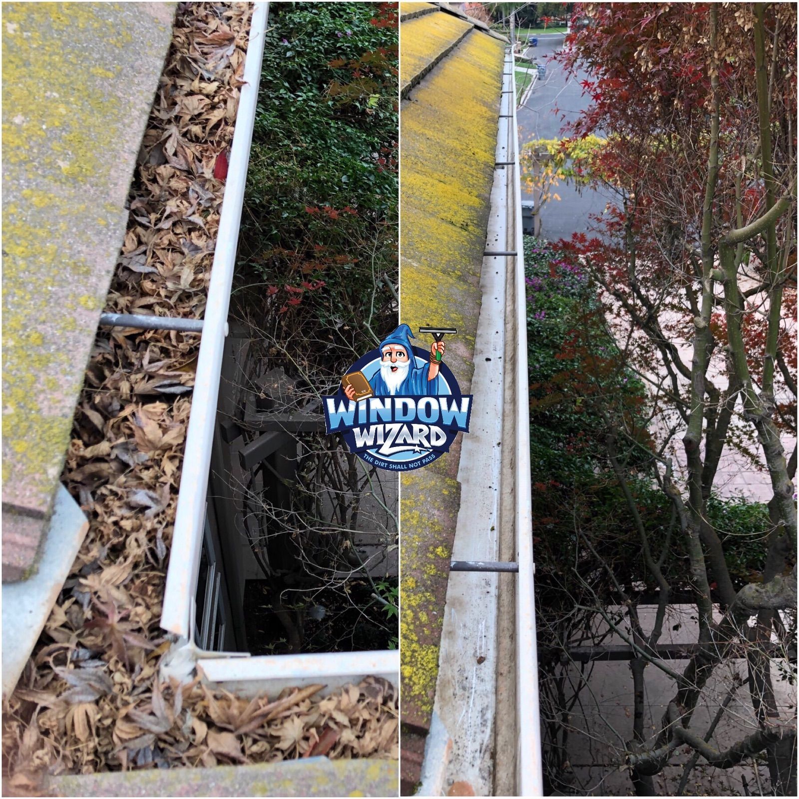 A before and after picture of a gutter filled with leaves and moss.
