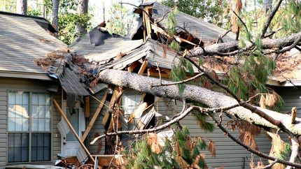 Tree has fallen on a house, severely damaging the roof and entry.