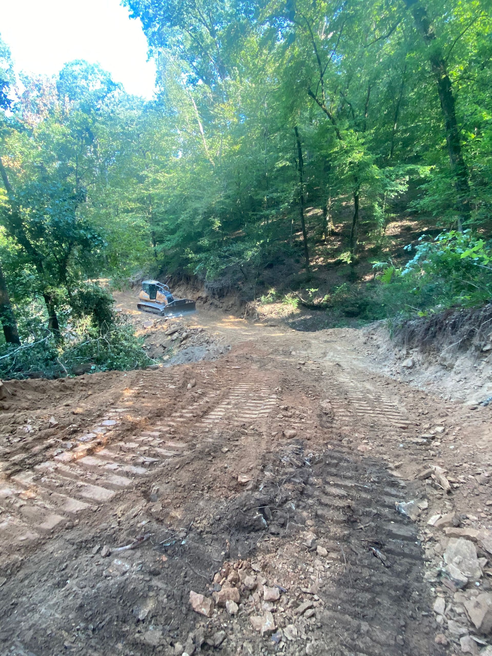 Dirt road cut through a forest, vehicle visible in the distance, sunny day.