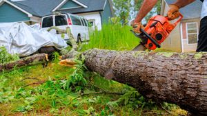 Person using chainsaw to cut fallen tree in residential area.
