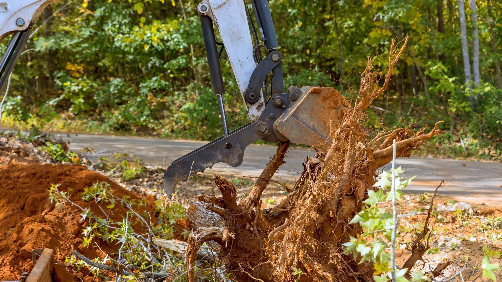 Excavator removing a large tree stump from the ground, dirt and roots visible.