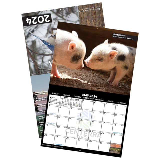 Personalized Calendar 2025 Canada Post Facebook adah kylila