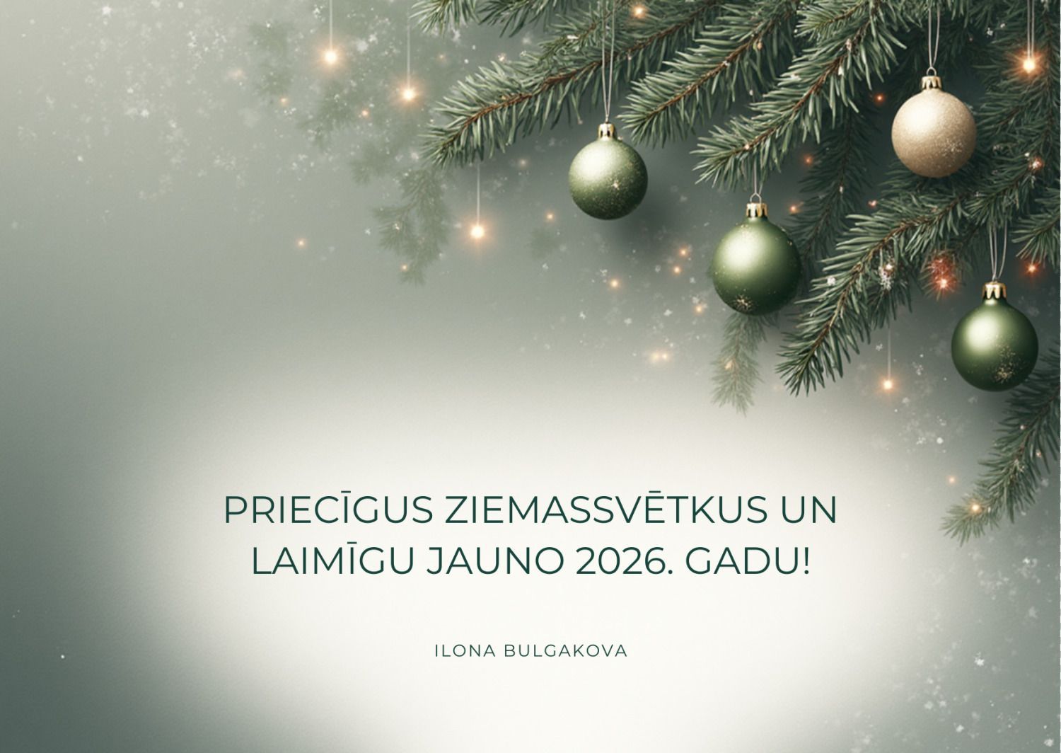 Laimīgu Jauno 2026. gadu! 