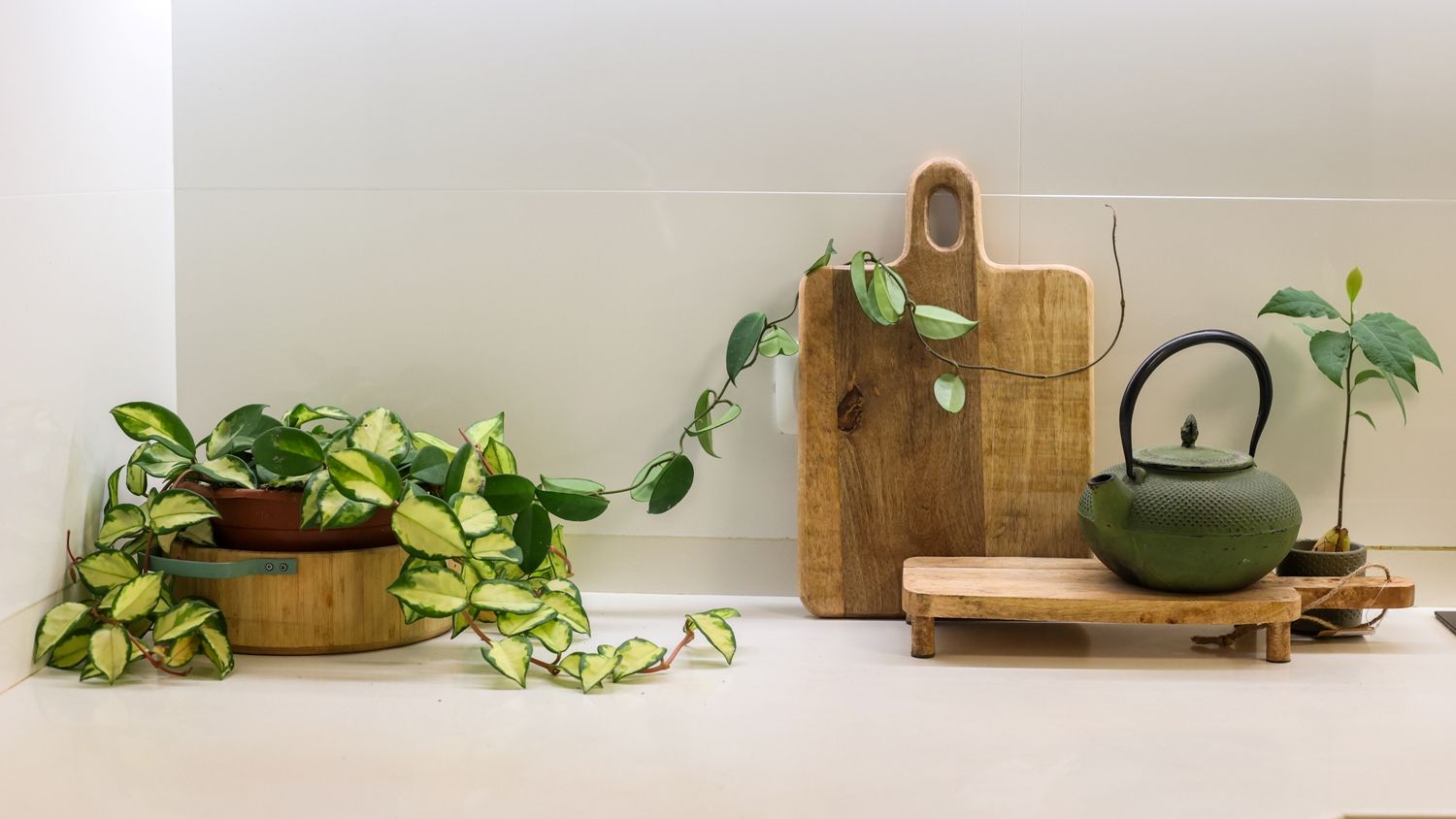 בחרו קבלן מקצועי