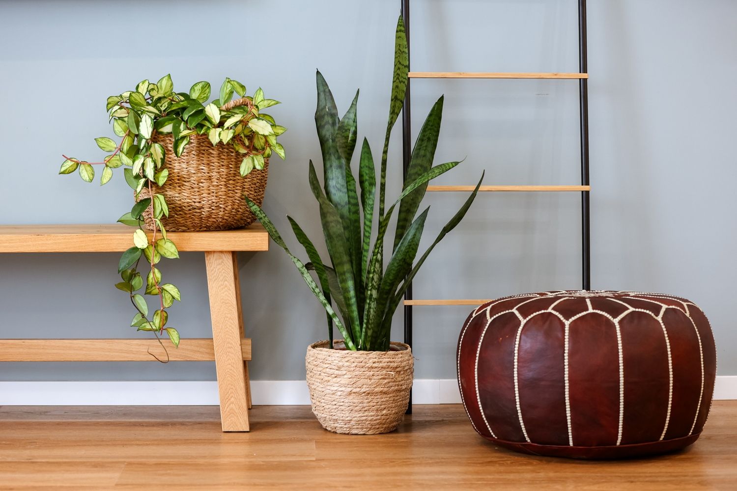 איך מקצרים את מסע הקניות באמצעות הכנה מראש?