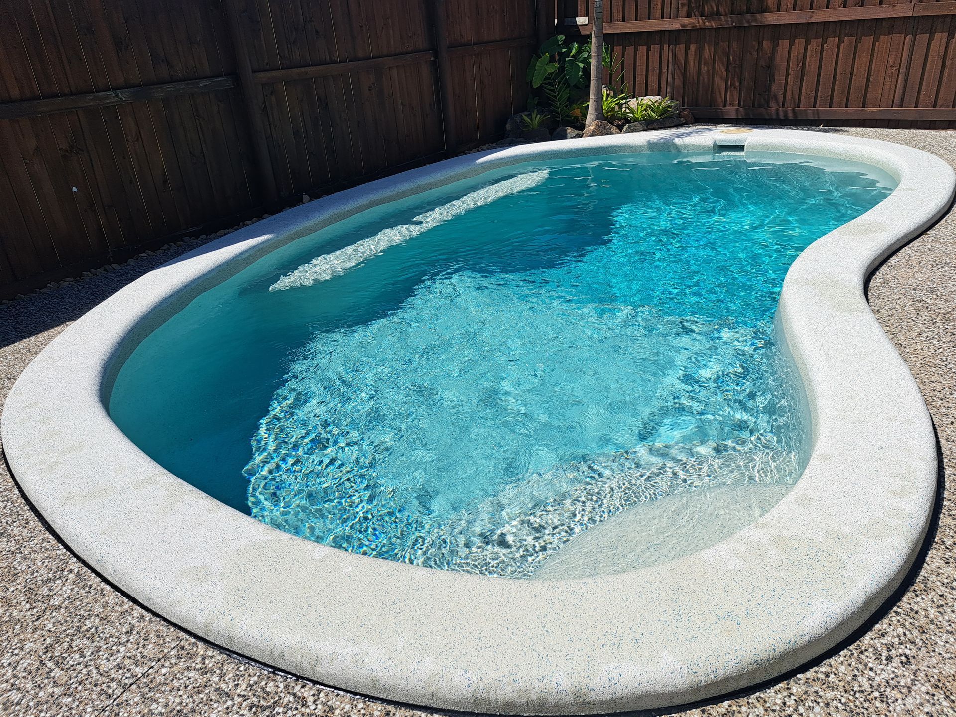 A jellybean shaped pool — Pools Plus NQ in Cairns, QLD