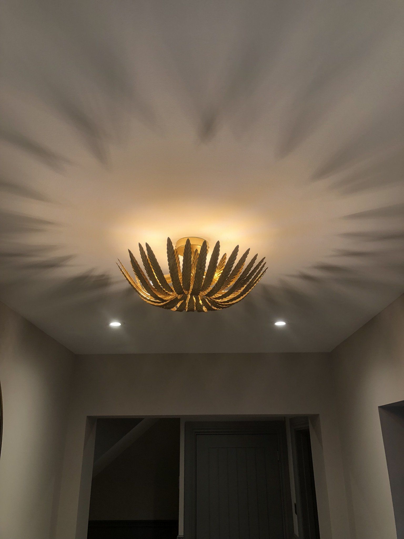Ceiling Light
