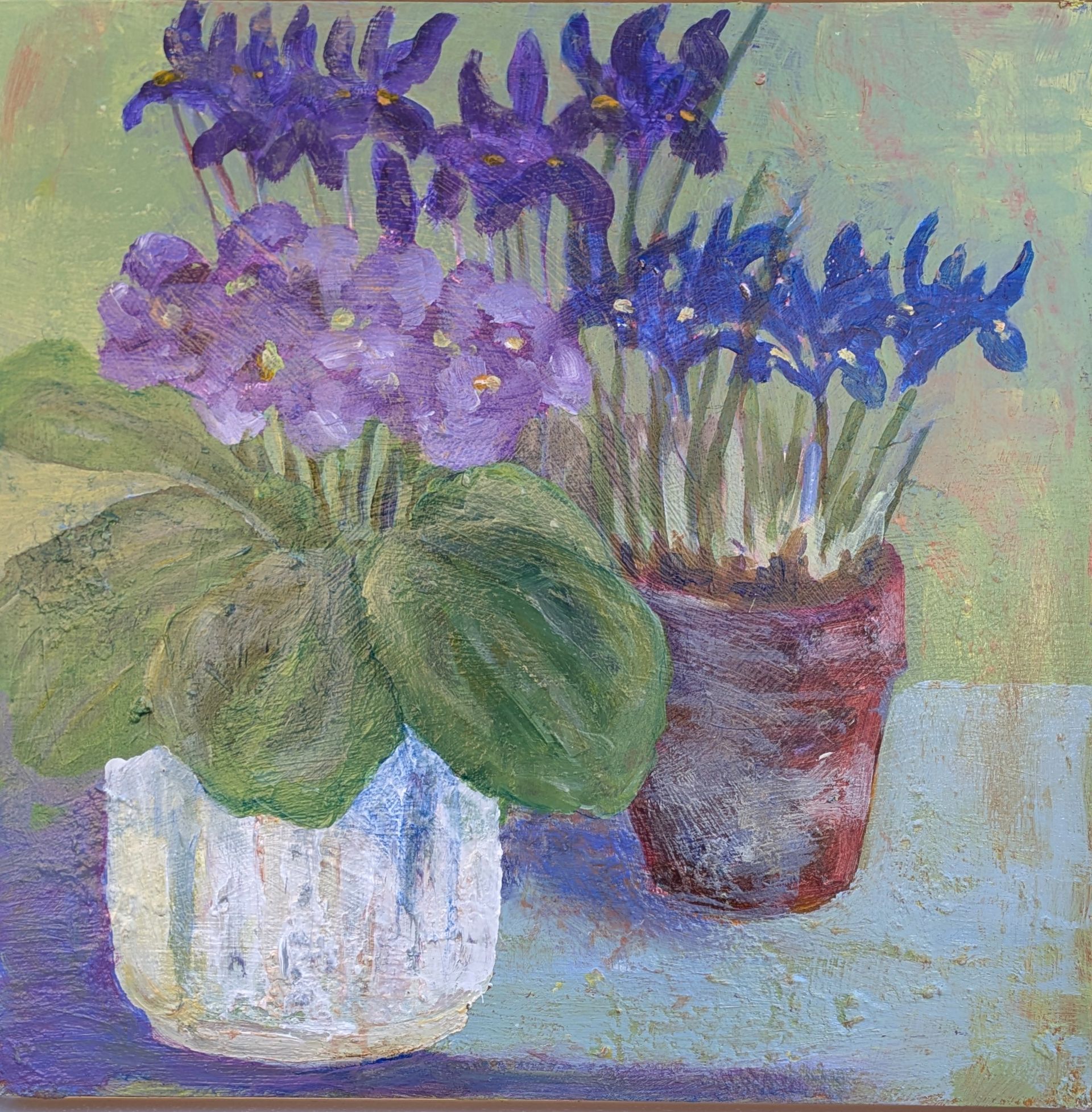 Primula and Irises Mixed Media on Panel 34cm x 34cm £425