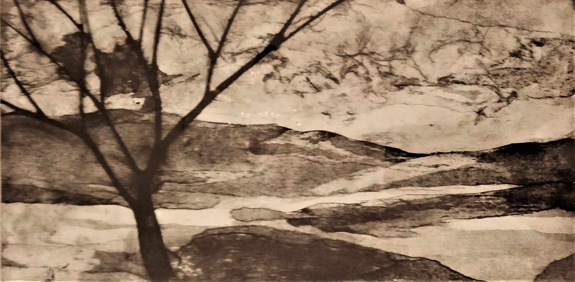 Lone Tree 4/5 Collagraph 31cm x 15cm SOLD but others can be ordered