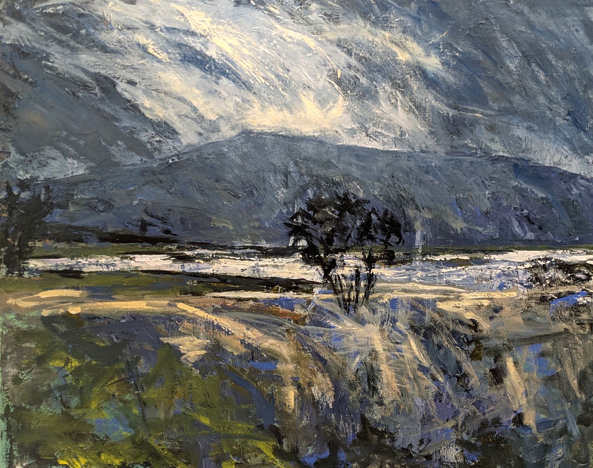 Landscape painting of a mountain under a stormy sky, with a tree in the foreground and a grassy field. Blues and yellows dominate.