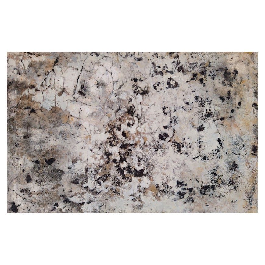 Close-up of a light gray and beige speckled stone surface with dark veining and mottled patches