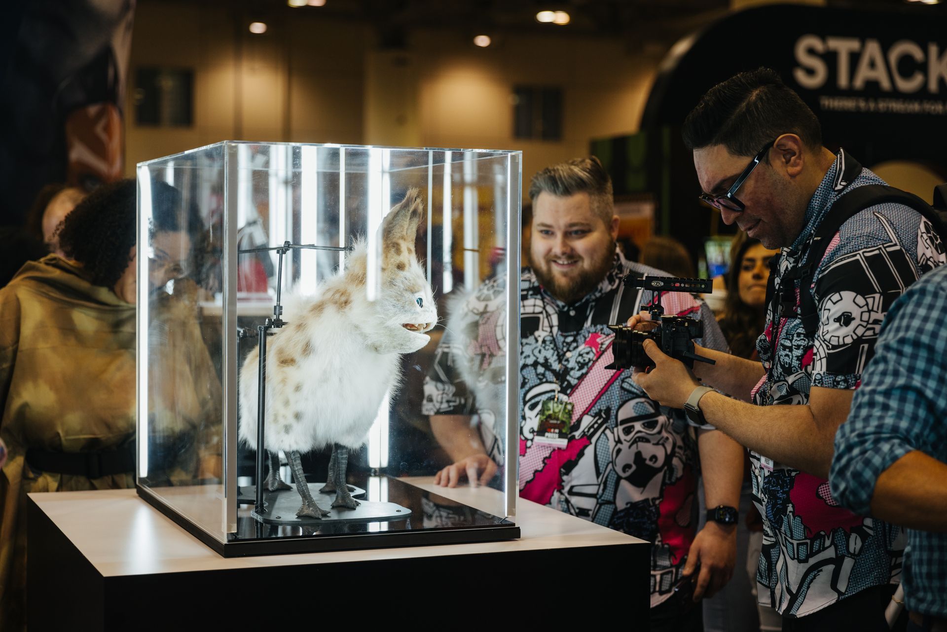 A group of people are looking at a cat in a glass case.