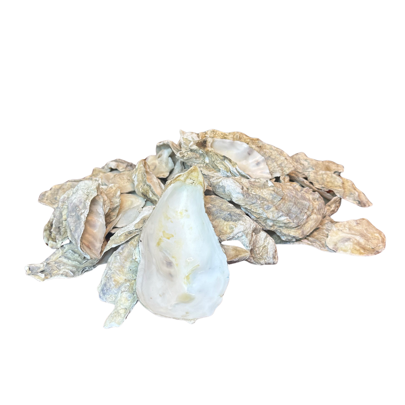 Stormwater Treatment