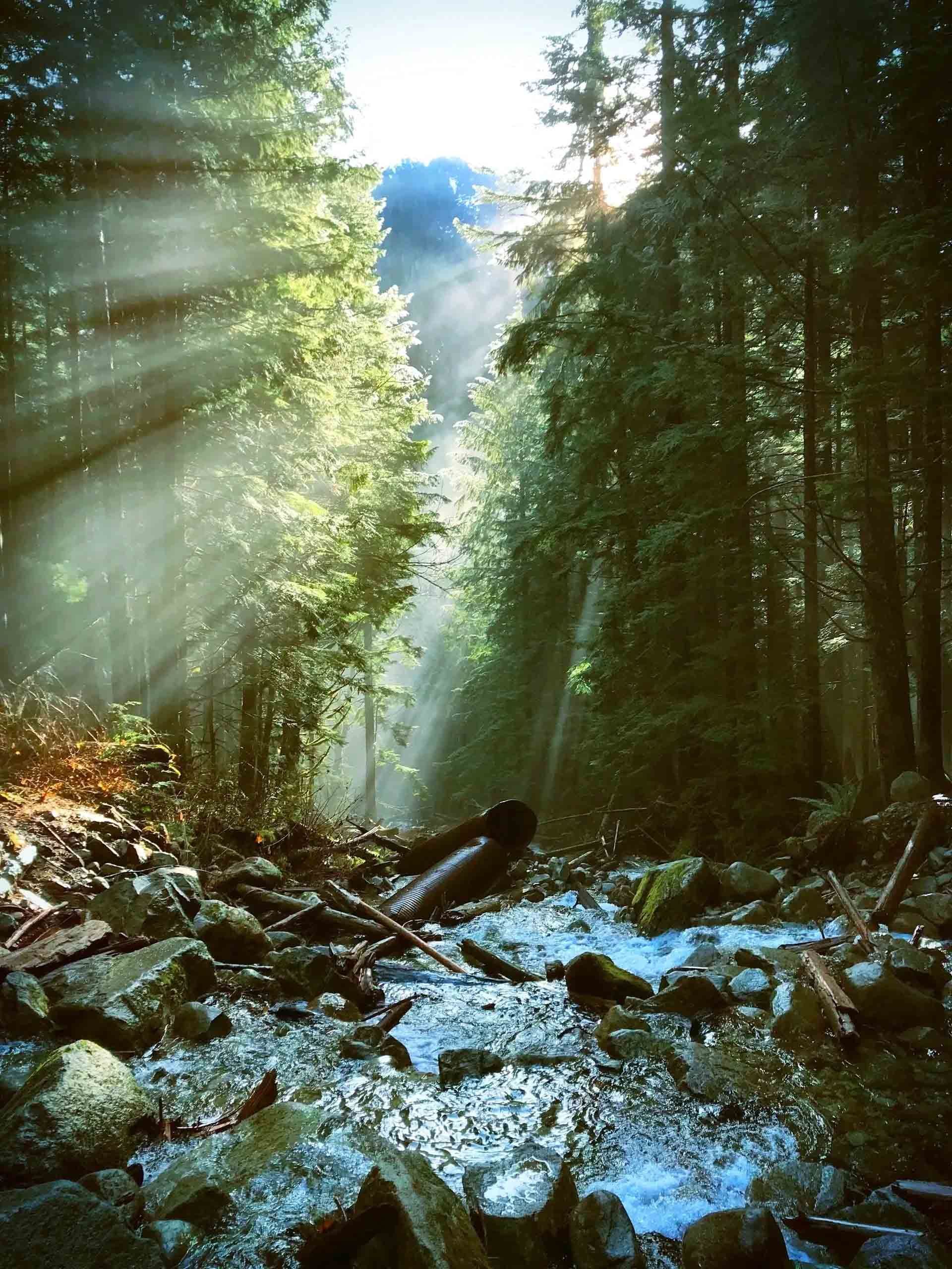 Concrete water channel with a small waterfall, leading to a tunnel entrance. Overcast day.