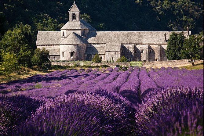 Senanque Abbey Provence
