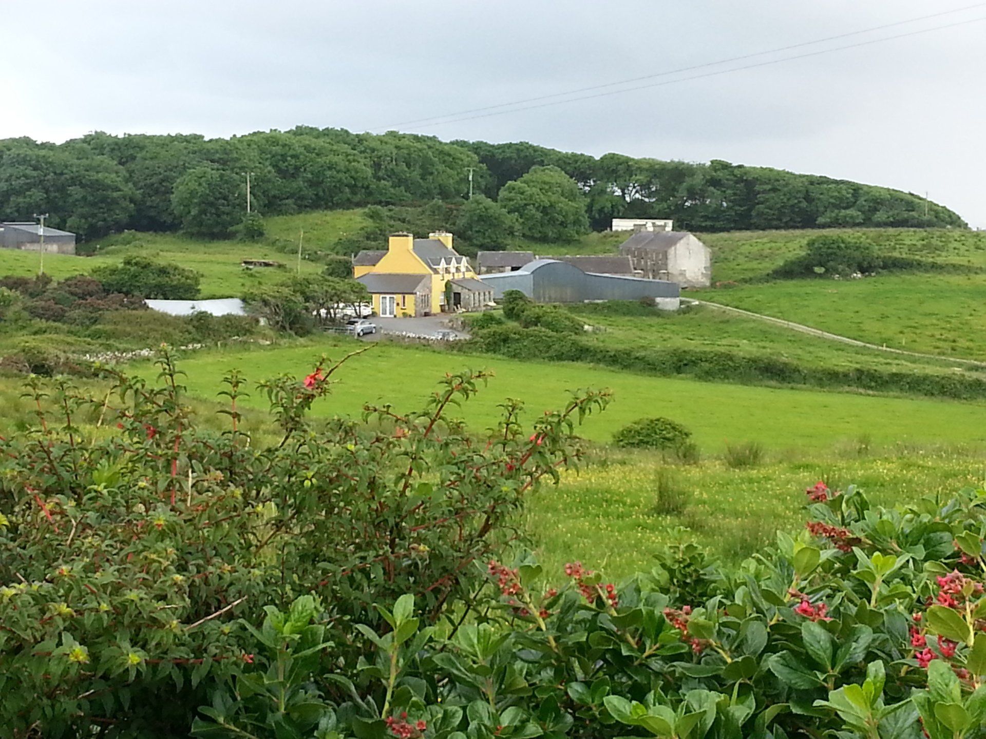 County Clare countryside