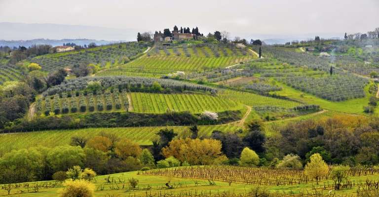 Chianti countryside