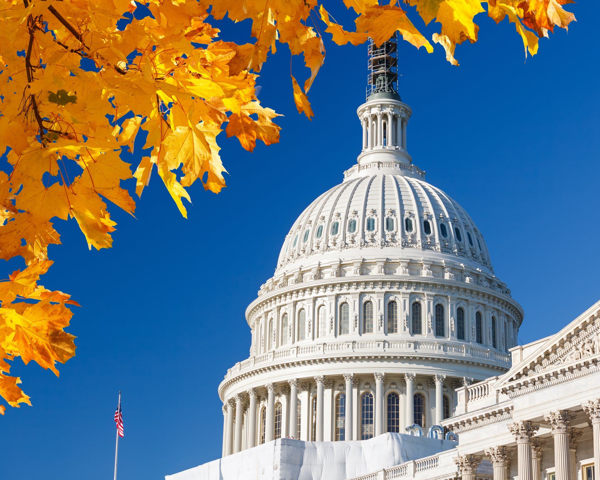 Washington DC Capitol building