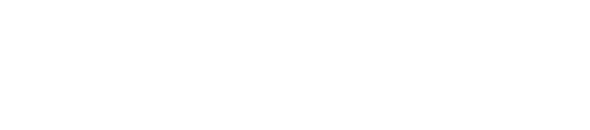 Logo Groupe Roche blanc